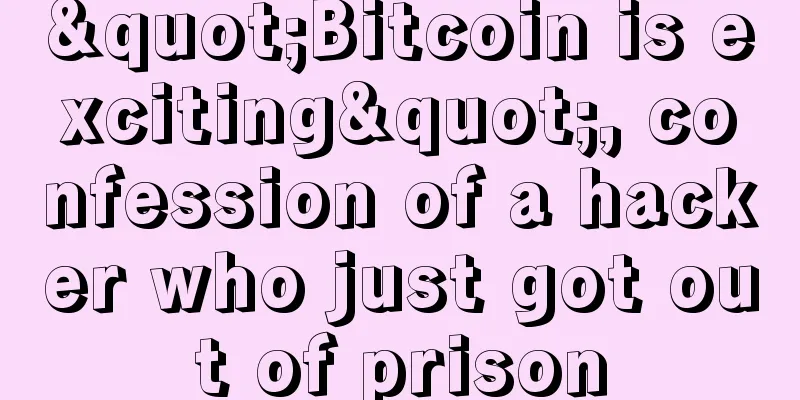 "Bitcoin is exciting", confession of a hacker who just got out of prison