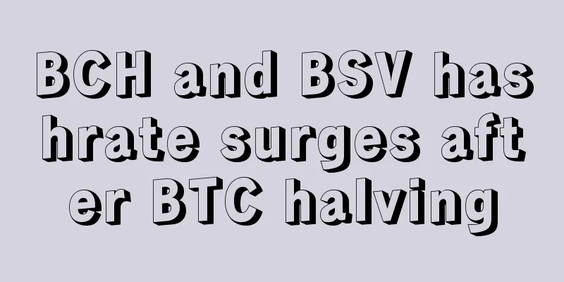 BCH and BSV hashrate surges after BTC halving