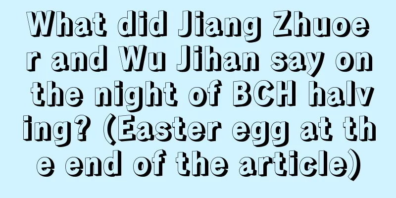 What did Jiang Zhuoer and Wu Jihan say on the night of BCH halving? (Easter egg at the end of the article)