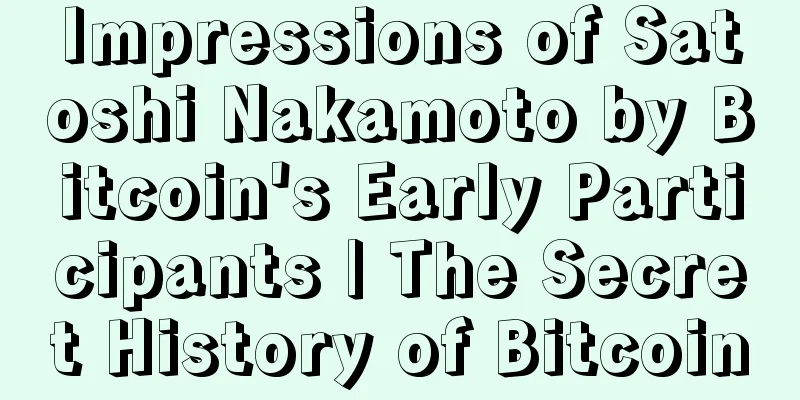 Impressions of Satoshi Nakamoto by Bitcoin's Early Participants | The Secret History of Bitcoin