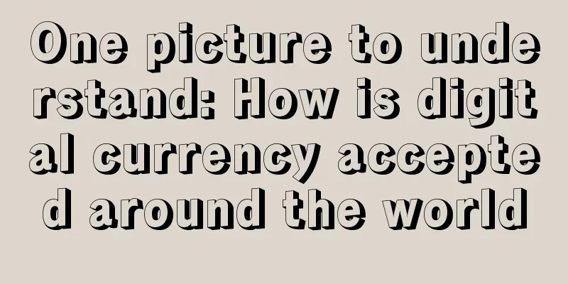 One picture to understand: How is digital currency accepted around the world