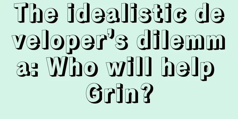 The idealistic developer’s dilemma: Who will help Grin?