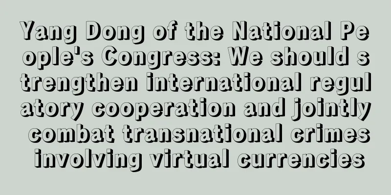 Yang Dong of the National People's Congress: We should strengthen international regulatory cooperation and jointly combat transnational crimes involving virtual currencies