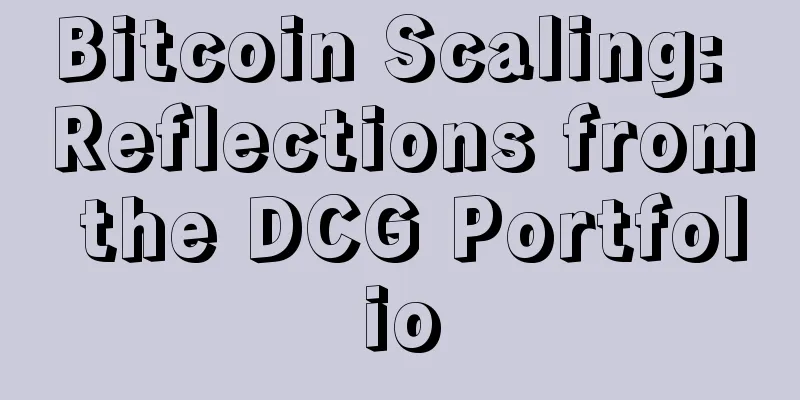 Bitcoin Scaling: Reflections from the DCG Portfolio