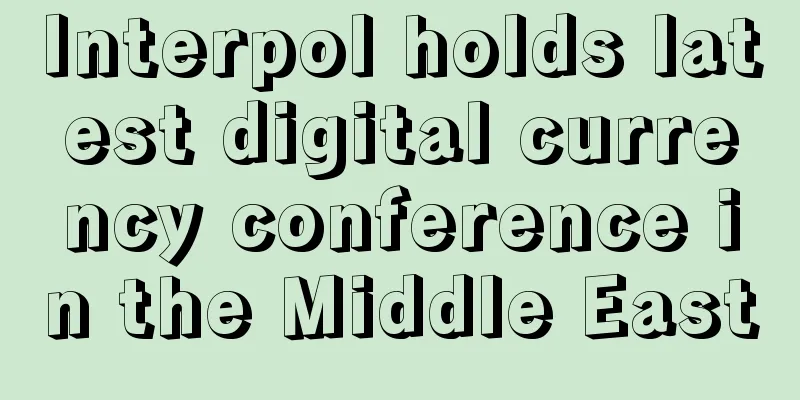 Interpol holds latest digital currency conference in the Middle East