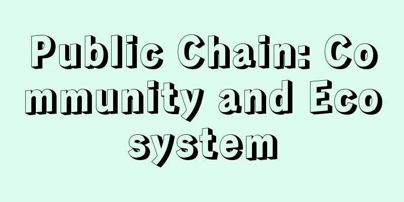 Public Chain: Community and Ecosystem