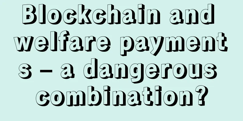 Blockchain and welfare payments – a dangerous combination?