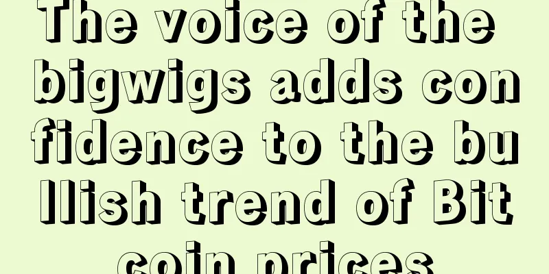 The voice of the bigwigs adds confidence to the bullish trend of Bitcoin prices