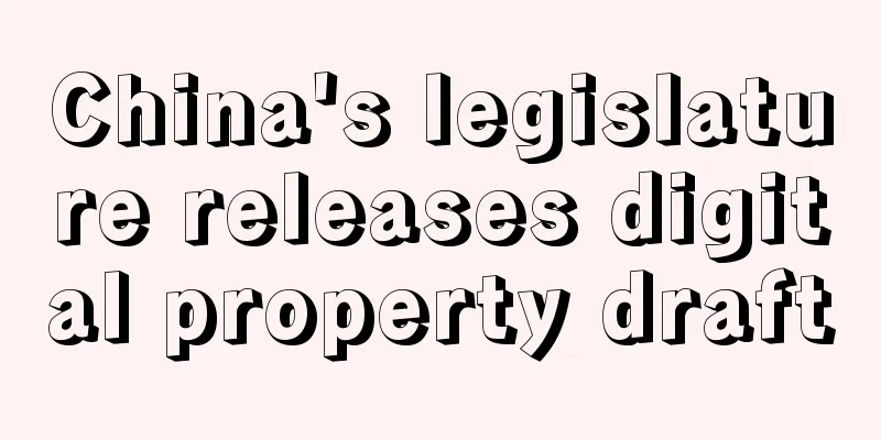 China's legislature releases digital property draft