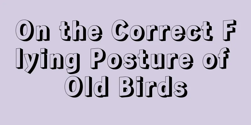 On the Correct Flying Posture of Old Birds