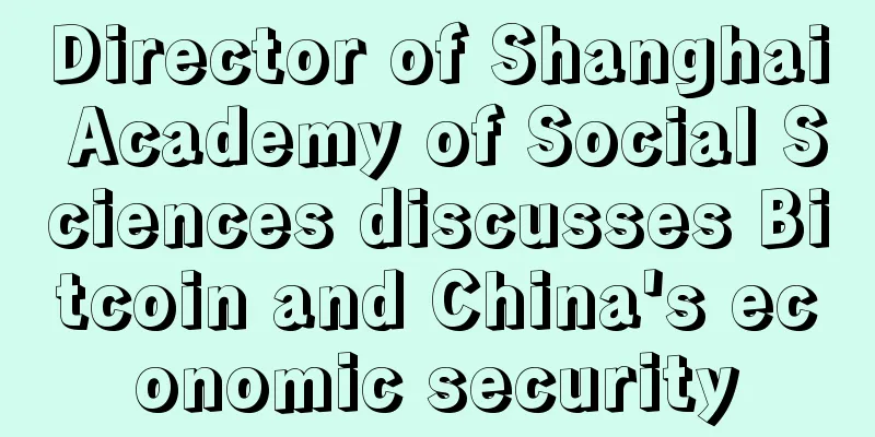 Director of Shanghai Academy of Social Sciences discusses Bitcoin and China's economic security
