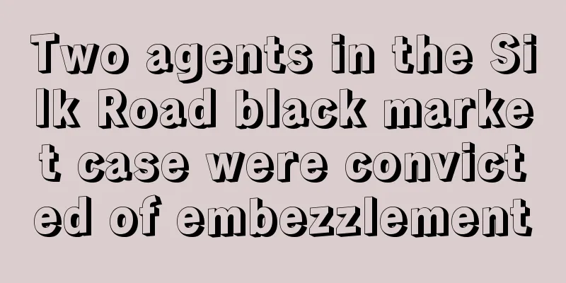 Two agents in the Silk Road black market case were convicted of embezzlement