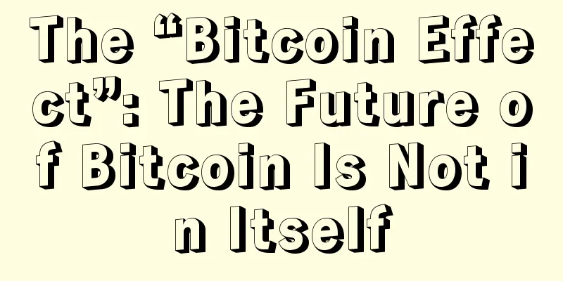 The “Bitcoin Effect”: The Future of Bitcoin Is Not in Itself